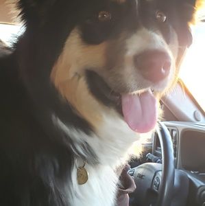 Meet your Posher, Robin